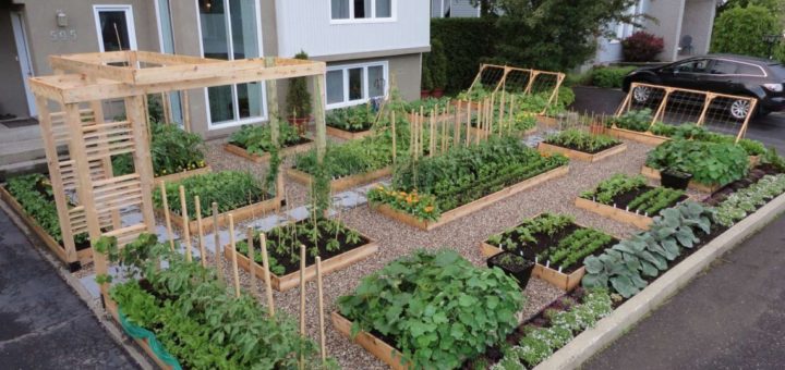 Выбор правильного дизайна дачи